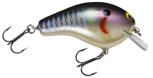 bagley world bass lure Bagley Balsa B – EliteBaitShop.Com