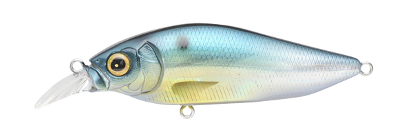 GG Threadfin Shad