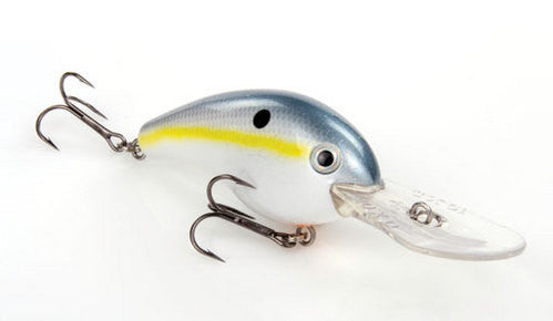 Sexy Shad