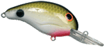 Tennessee Shad