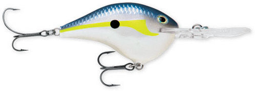 Helsinki Shad