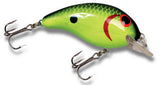 Chartreuse Black Back Scales