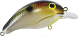 Gizzard Shad