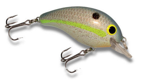 Bandit 100 – EliteBaitShop.Com