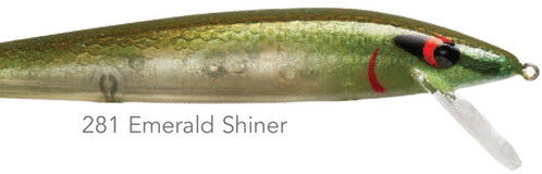 Emerald Shiner