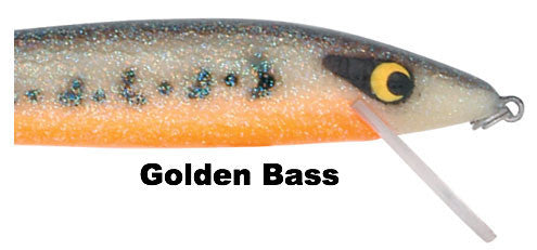 Golden Bass