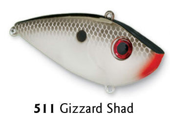 Gizzard Shad