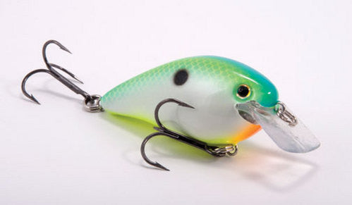 Citrus Shad