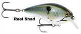 Reel Shad - Exculsive