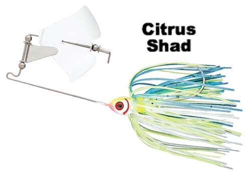 Citrus Shad