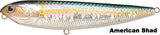 American Shad