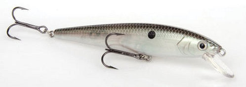 Green Gizzard Shad