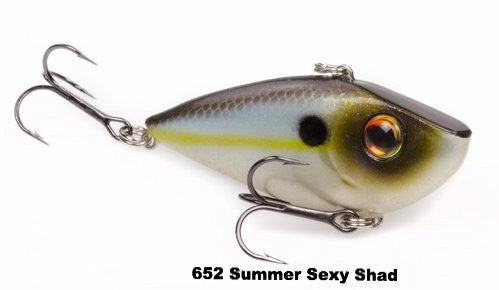 Summer Sexy Shad