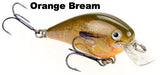 Orange Bream