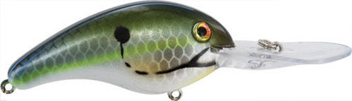 Reel Shad