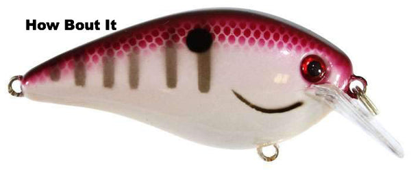 Strike King KVD Square Bill 1.5 Hard Knock Crankbait | | Kenya Strike King KVD Square Bill 1.5 Hard Knock Crankbait | | Kenya