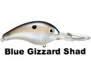 Blue Gizzard Shad