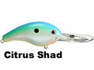 Citrus Shad