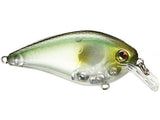 Clearwater Minnow