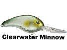 Clearwater Minnow