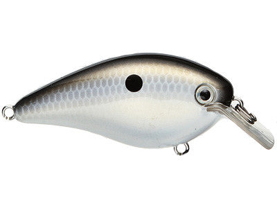 Gizzard Shad