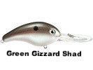 Green Gizzard Shad