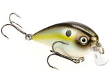 Summer Sexy Shad