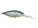 M Threadfin Shad