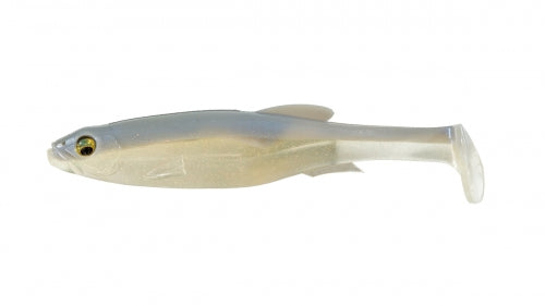 White Back Shad