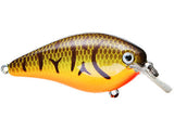 Orange Belly Craw