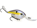 Chartreuse Shad