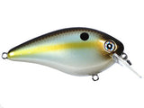 Summer Sexy Shad