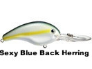 Sexy Blue Back Herring