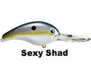 Sexy Shad