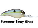 Summer Sexy Shad