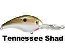 Tennessee Shad