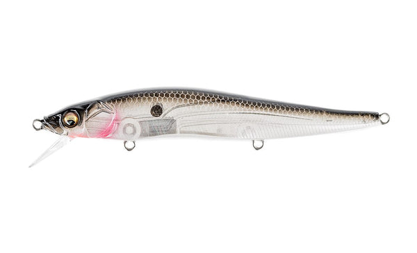 GP Ozark Shad