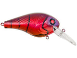 Special Red Craw