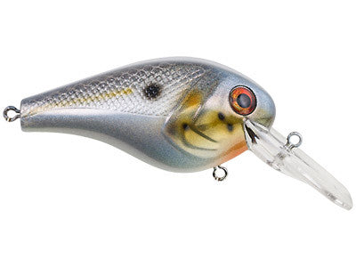 Sexier Shad