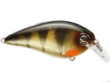 Yellow Perch