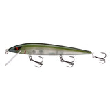 Emerald Shiner