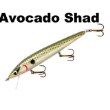 Avocado Shad