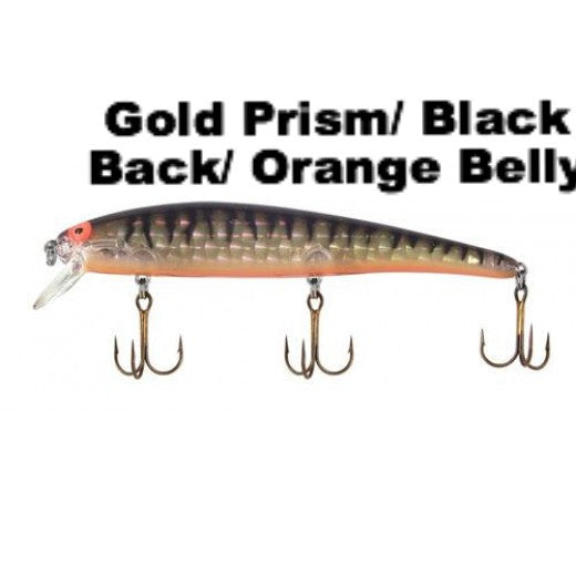 Gold Prism Black Back Orange Belly