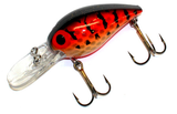 Orange Crawfish w/ Black Back