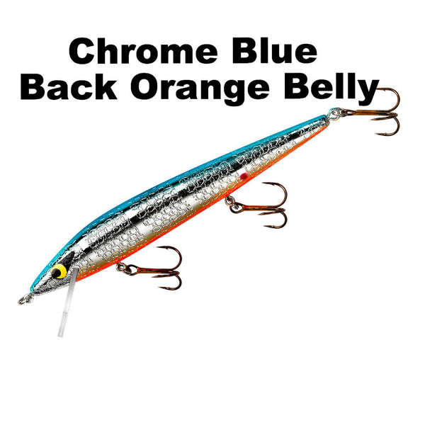 Chrome/Blue Back Orange Belly