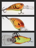 Tiger Craw